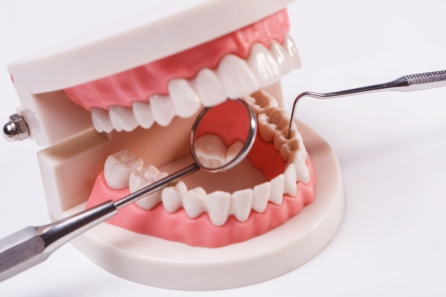 Jaw Surgery, Trauma Surgery, Orthognathic Surgery, Cyst and Tumor Surgery, Implant Surgery, Periodontal Treatment, Prosthetic Dentistry, Gum Diseases, Implant, Prostheses, Aesthetic Dentistry, Teeth Whitening, Sedation, Botox, TMJ Diseases, Tooth Extraction, Apical Resection, Impacted Tooth Surgery